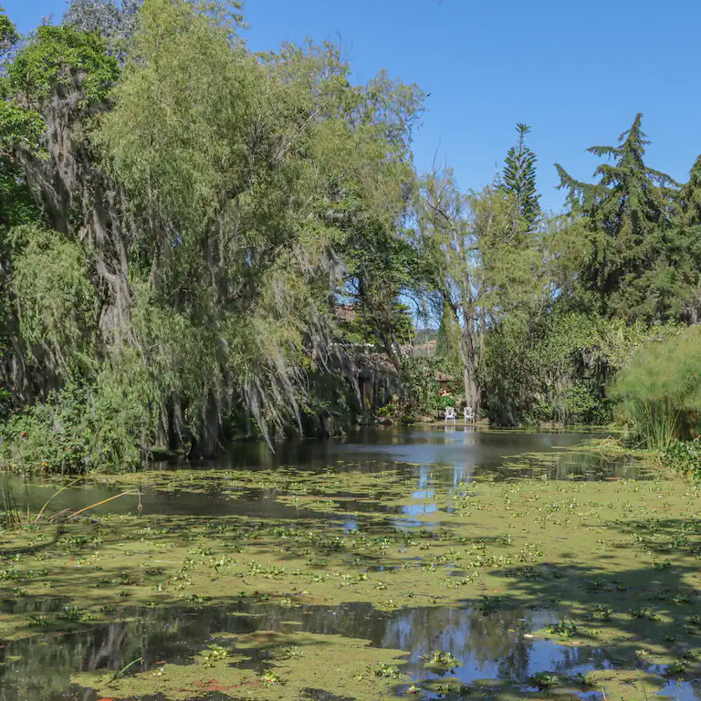 Ecosistema en regeneración