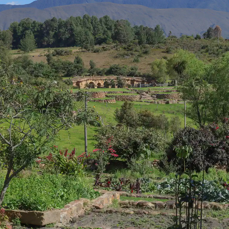 Ecoparque en 2024: ecosistema restaurado con cobertura vegetal densa